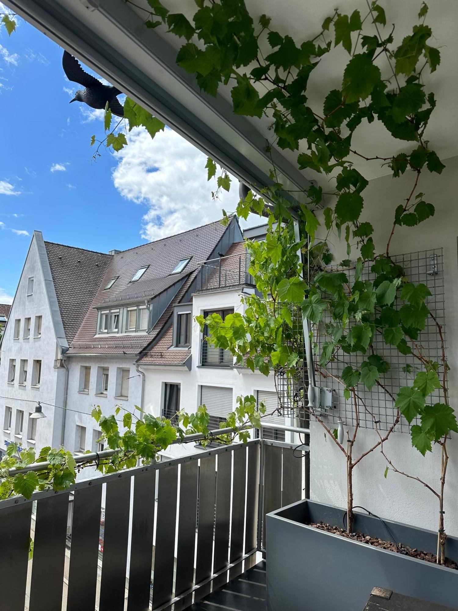 Apartment11 Ulm Exteriör bild